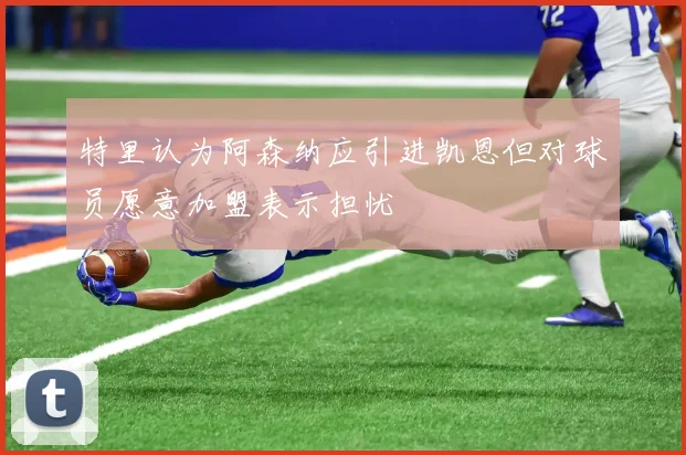 特里认为阿森纳应引进凯恩但对球员愿意加盟表示担忧